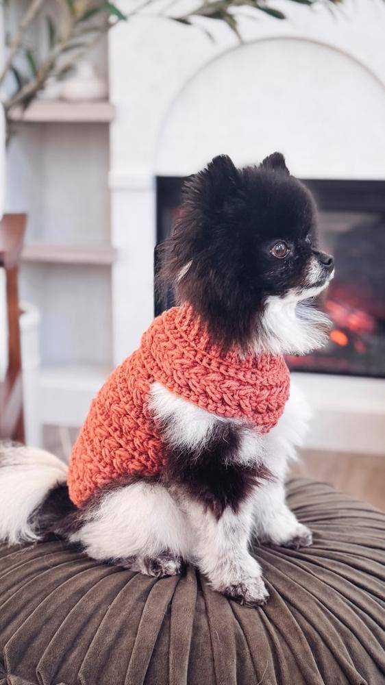 Cozy Crocheted Dog Sweater with Textured Ribbing