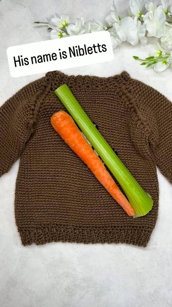 Cozy Garter Stitch Baby Sweater