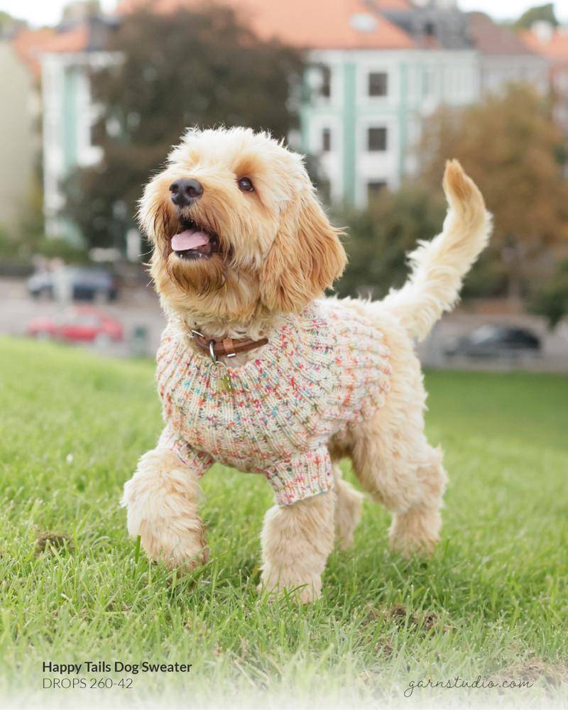Cozy Multicolor Knitted Dog Sweater