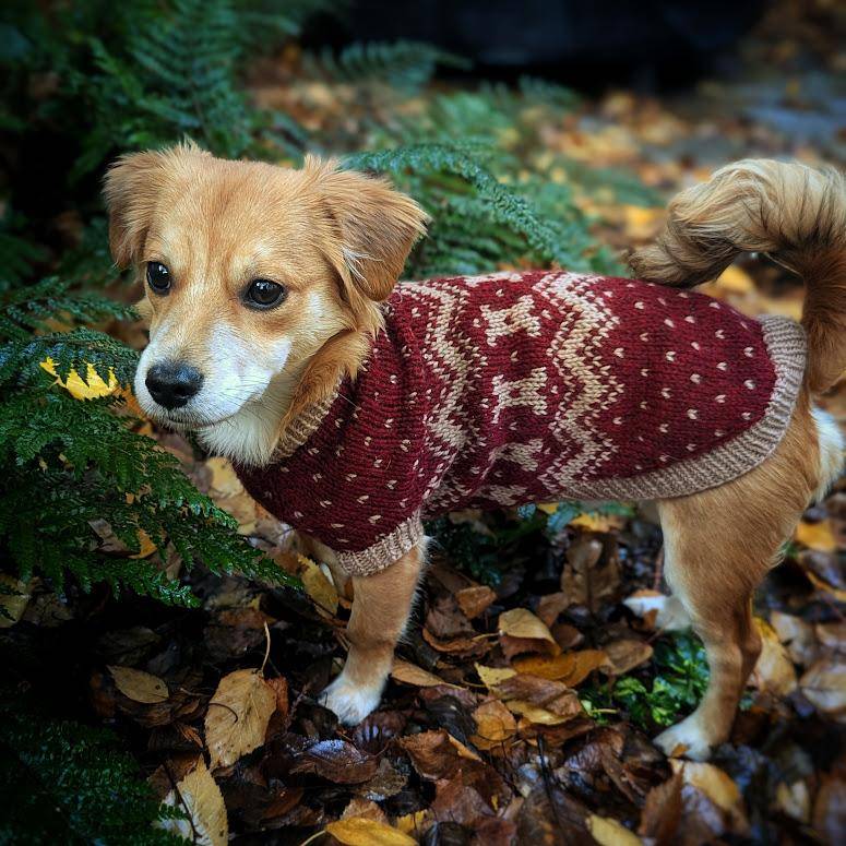 Fair Isle Knit Dog Sweater