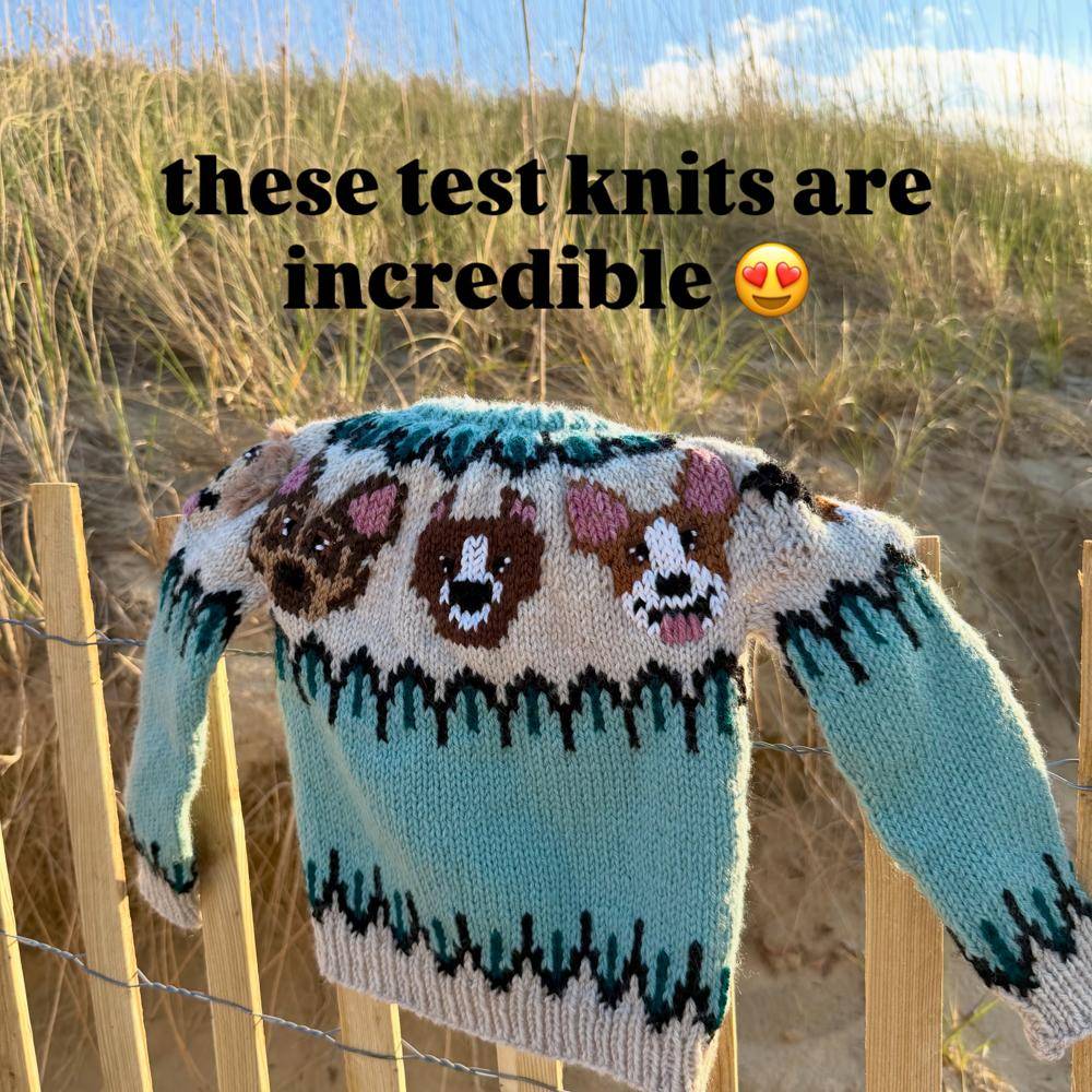 Fair Isle Knit Dog Sweater Project