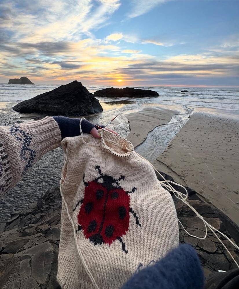 Intarsia Knit Sweater with Ladybug Motif