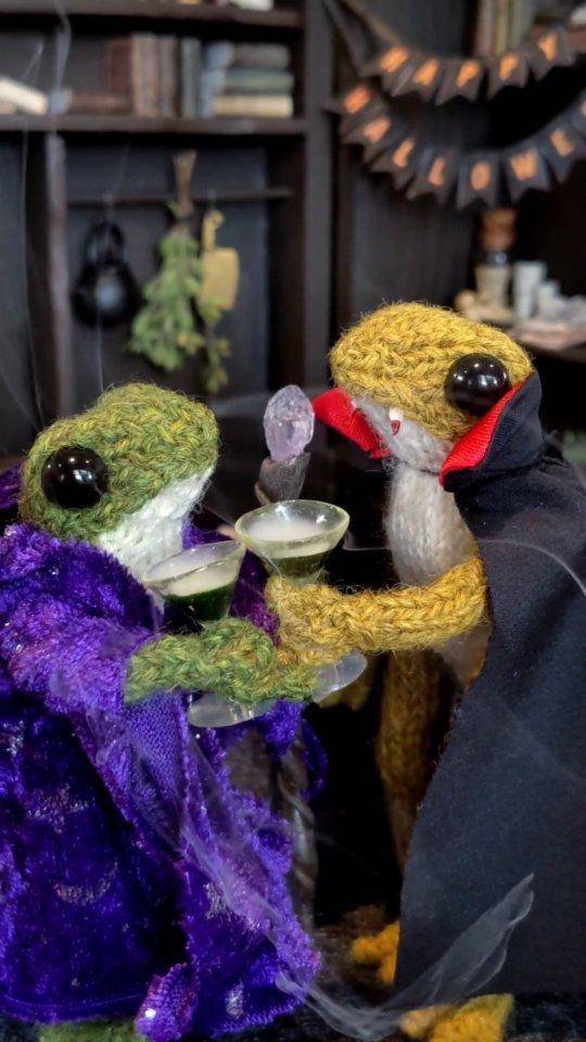 Knitted Halloween Vampire Frog Duo Craft