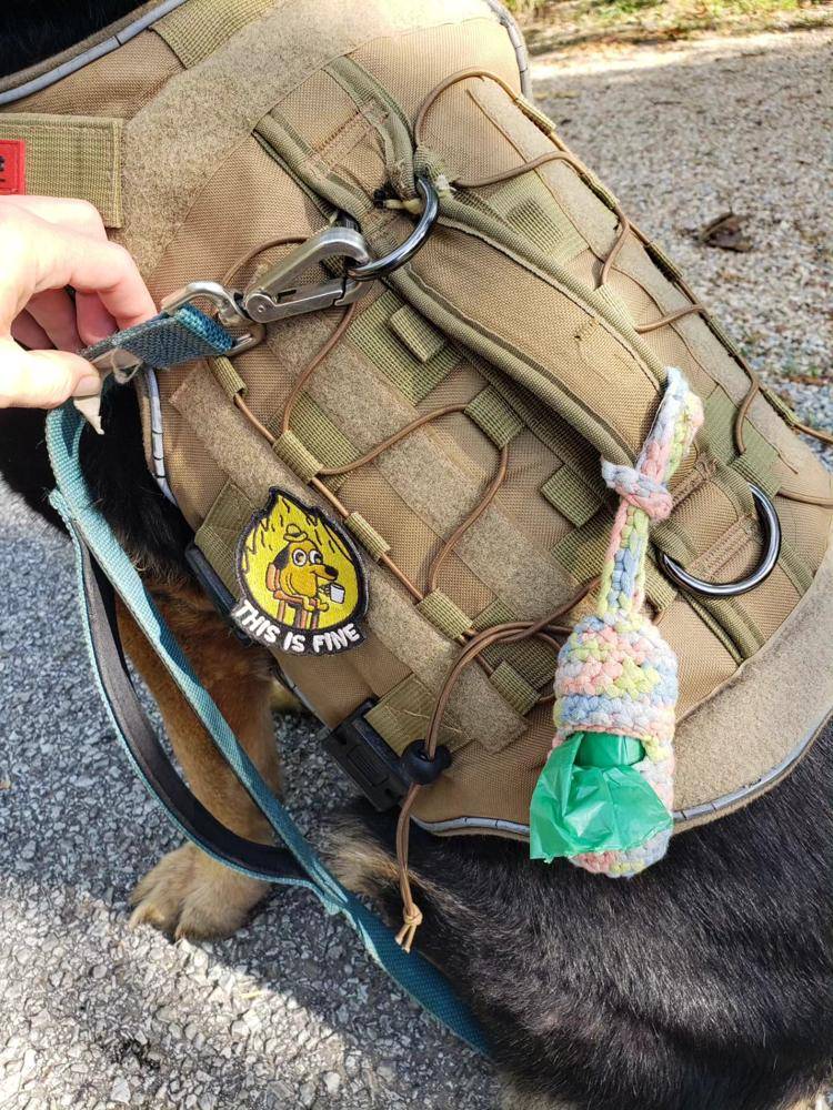 Multi-Colored Crochet Dog Poop Bag Holder