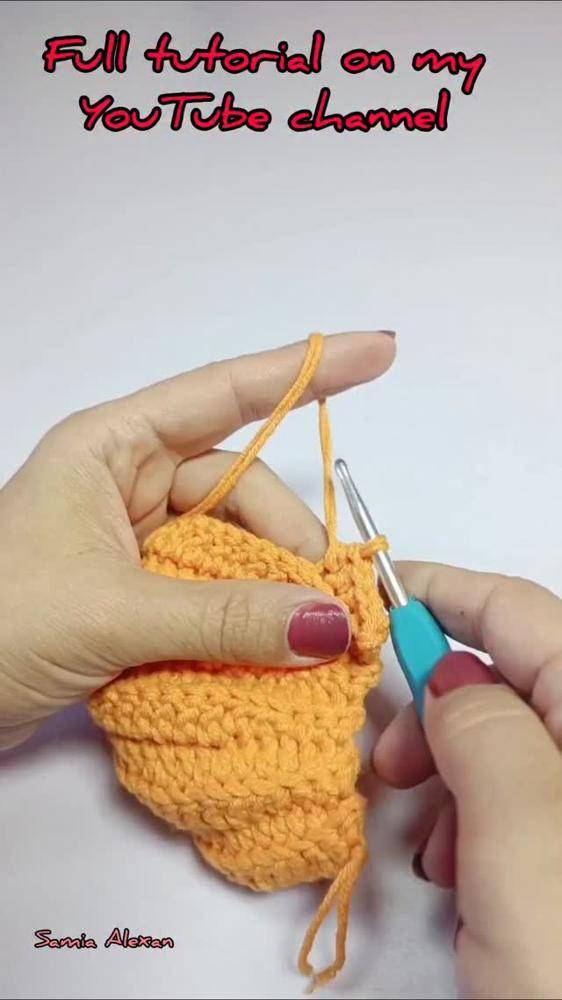Pumpkin Crochet Applique Project