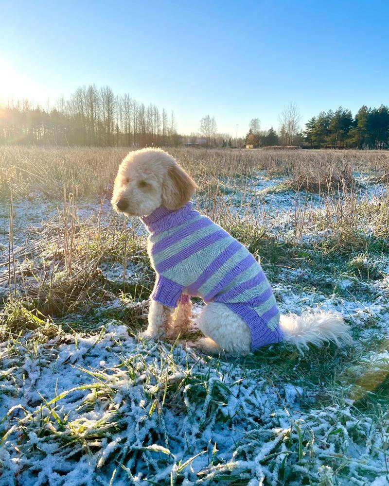 Striped Knit Dog Sweater Project