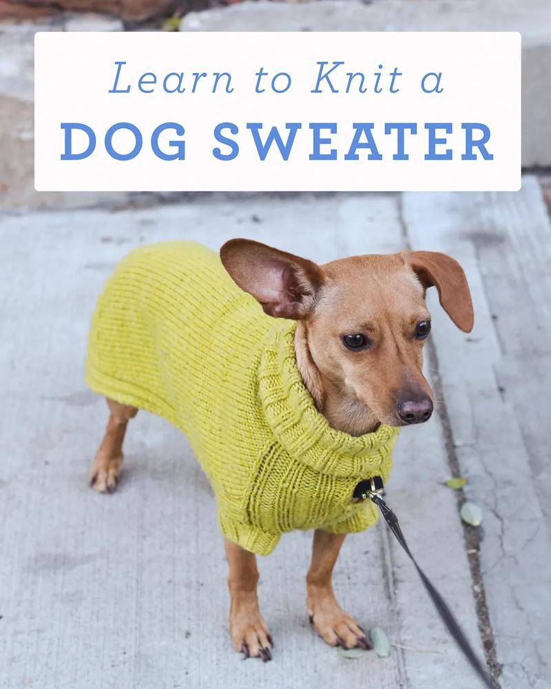 Textured Knit Dog Sweater Pattern