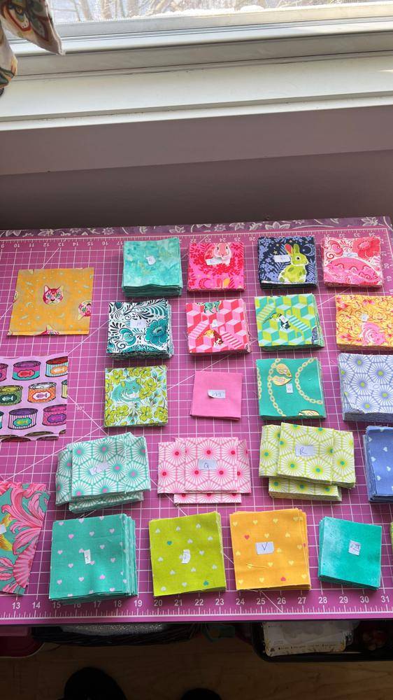Tula Pink Fabric Squares for Quilt Projects