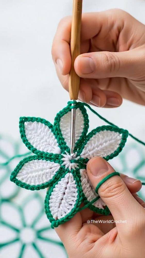 Two-Tone Crochet Flower Applique