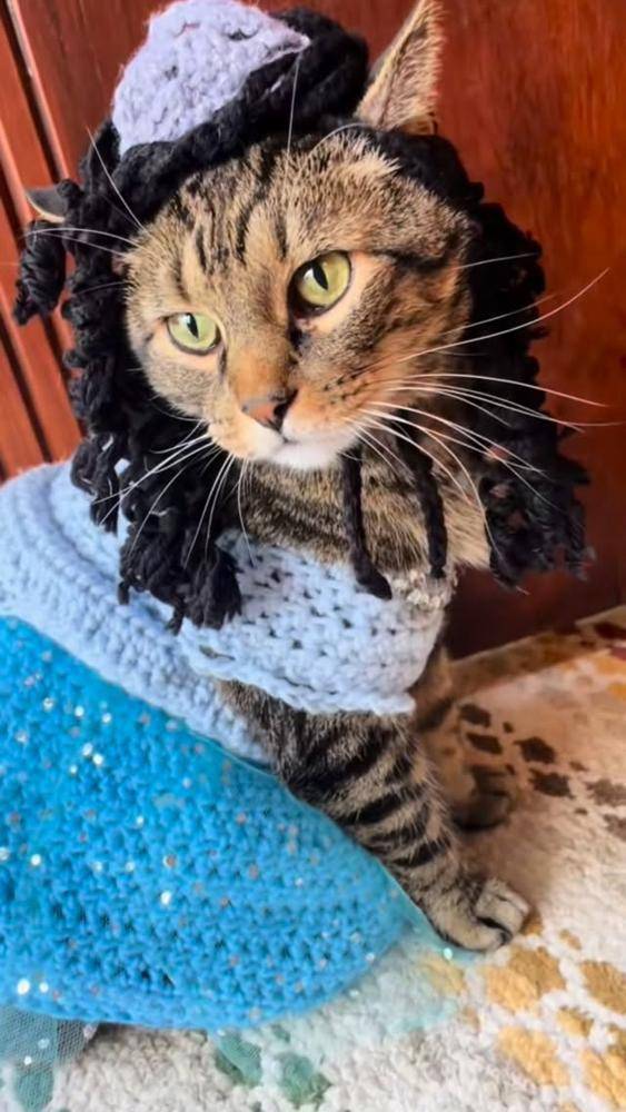 Whimsical Crochet Cat Costume with Twirling Skirt